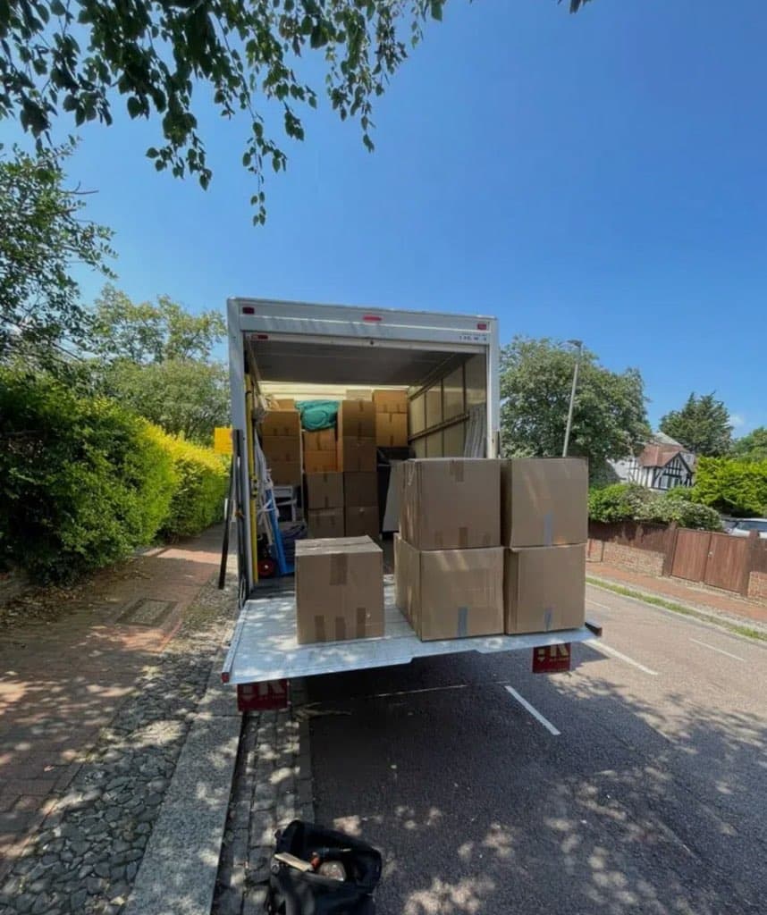 Orange Removals