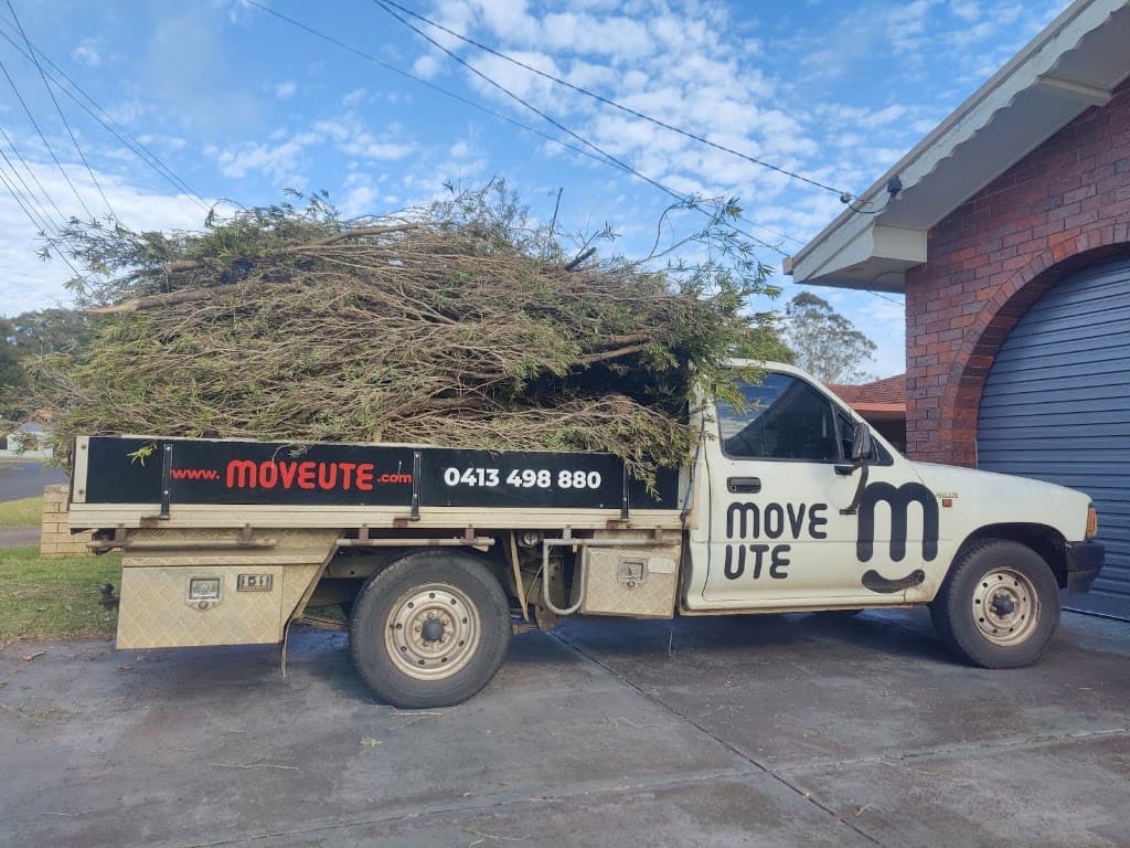 Move Ute