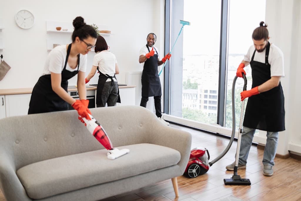Multi Removal & Cleaning Services