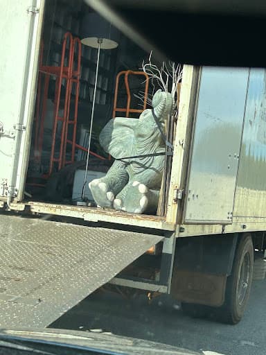 TLI Transport Furniture Removals and Deliveries — Customer photo