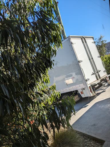 Shaggy Removalist Hobart & Delivery Service — Customer photo