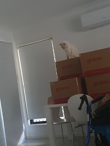 Grace Removals Mackay — Customer photo