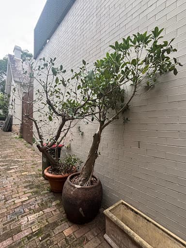 Zoom Removalists Sydney — Customer photo