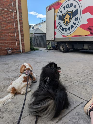 Top Removals — Customer photo