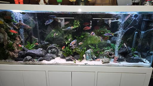 Wollongong Removals — Customer photo