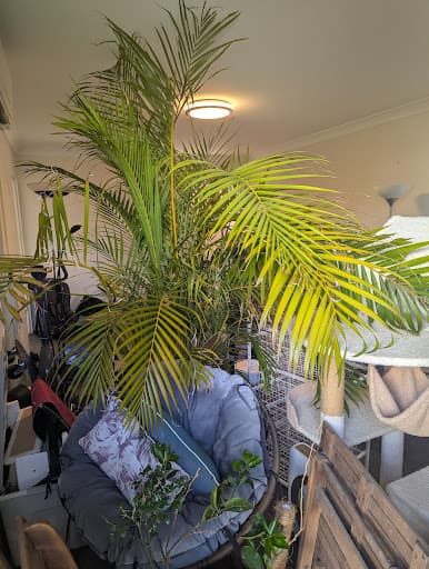 Get Lucky Removalists- Home, Office, Furniture Removalist in Sydney — Customer photo