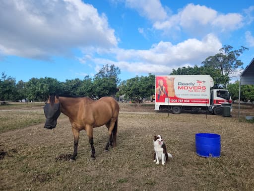 Ready Movers — Customer photo